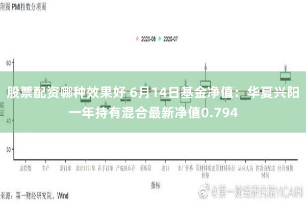 股票配资哪种效果好 6月14日基金净值：华夏兴阳一年持有混合最新净值0.794