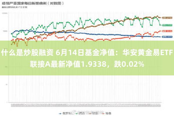 什么是炒股融资 6月14日基金净值：华安黄金易ETF联接A最新净值1.9338，跌0.02%