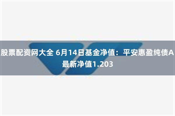 股票配资网大全 6月14日基金净值：平安惠盈纯债A最新净值1.203