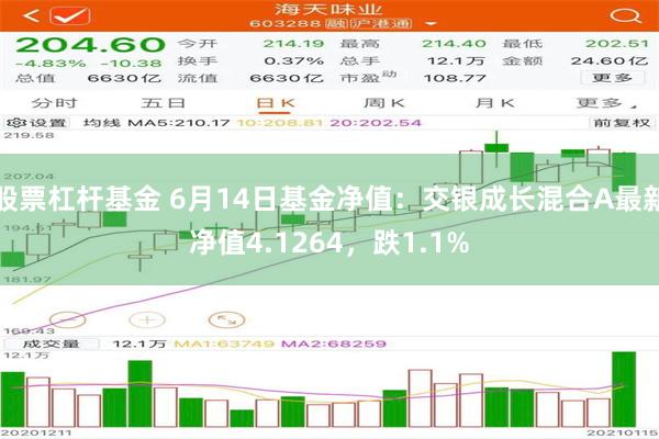 股票杠杆基金 6月14日基金净值：交银成长混合A最新净值4.1264，跌1.1%