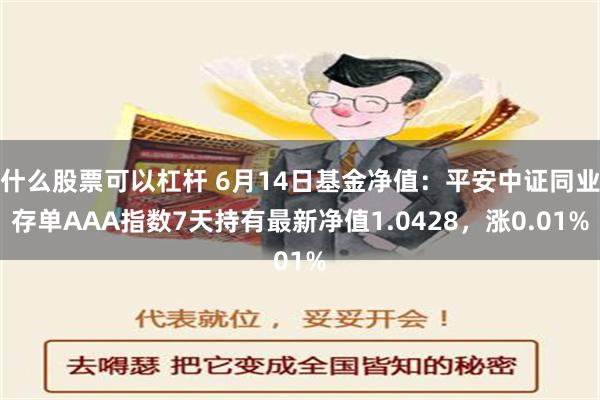 什么股票可以杠杆 6月14日基金净值：平安中证同业存单AAA指数7天持有最新净值1.0428，涨0.01%