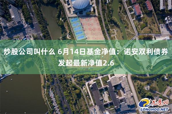 炒股公司叫什么 6月14日基金净值：诺安双利债券发起最新净值2.6