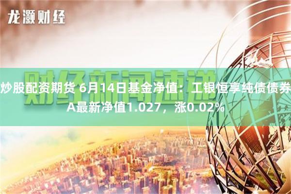 炒股配资期货 6月14日基金净值：工银恒享纯债债券A最新净值1.027，涨0.02%