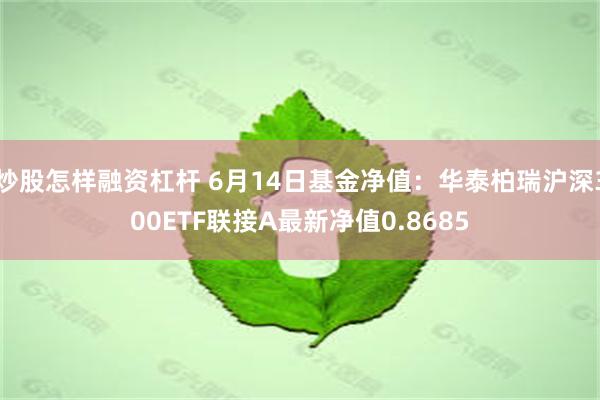 炒股怎样融资杠杆 6月14日基金净值：华泰柏瑞沪深300ETF联接A最新净值0.8685