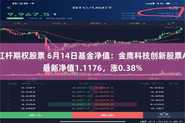 杠杆期权股票 6月14日基金净值：金鹰科技创新股票A最新净值1.1176，涨0.38%