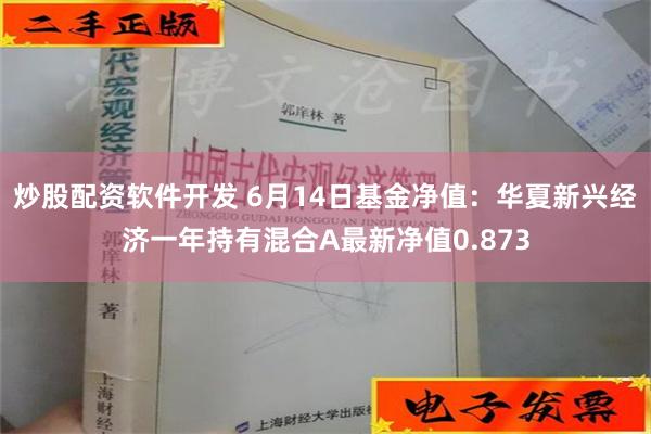 炒股配资软件开发 6月14日基金净值：华夏新兴经济一年持有混合A最新净值0.873