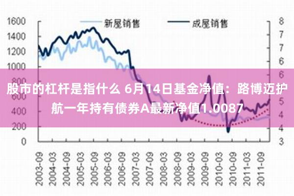 股市的杠杆是指什么 6月14日基金净值：路博迈护航一年持有债券A最新净值1.0087