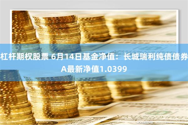 杠杆期权股票 6月14日基金净值：长城瑞利纯债债券A最新净值1.0399