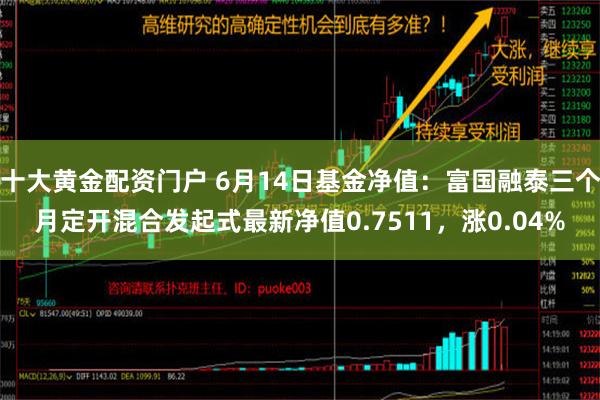 十大黄金配资门户 6月14日基金净值：富国融泰三个月定开混合发起式最新净值0.7511，涨0.04%