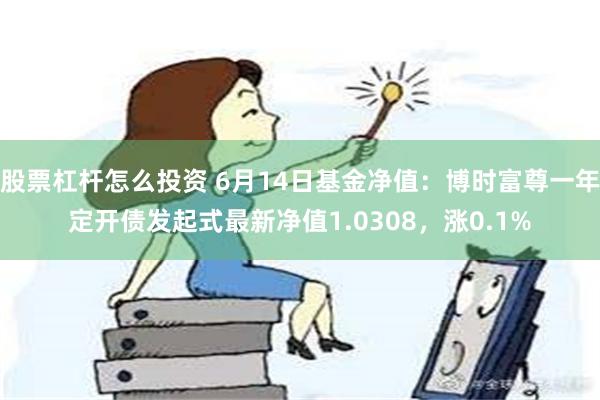 股票杠杆怎么投资 6月14日基金净值：博时富尊一年定开债发起式最新净值1.0308，涨0.1%