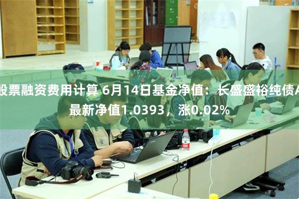 股票融资费用计算 6月14日基金净值：长盛盛裕纯债A最新净值1.0393，涨0.02%