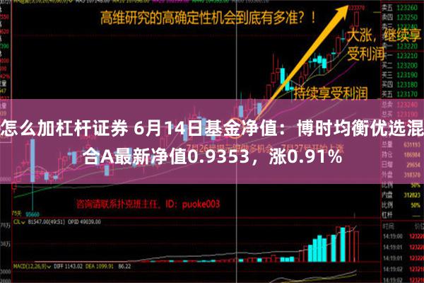 怎么加杠杆证券 6月14日基金净值：博时均衡优选混合A最新净值0.9353，涨0.91%