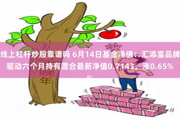 线上杠杆炒股靠谱吗 6月14日基金净值：汇添富品牌驱动六个月持有混合最新净值0.7143，涨0.65%