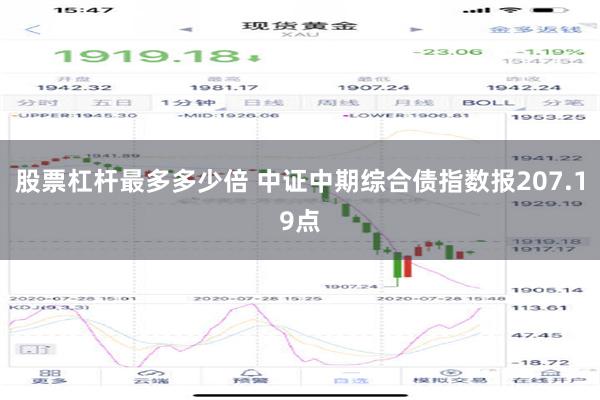 股票杠杆最多多少倍 中证中期综合债指数报207.19点