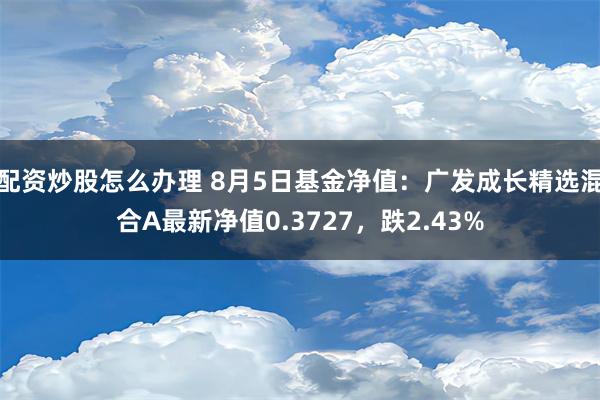 配资炒股怎么办理 8月5日基金净值：广发成长精选混合A最新净值0.3727，跌2.43%