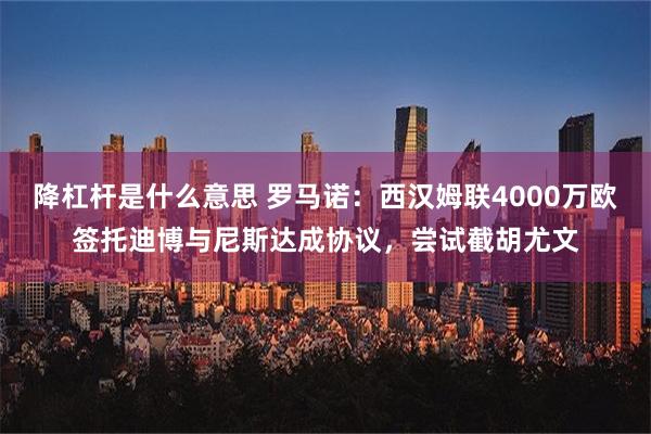 降杠杆是什么意思 罗马诺：西汉姆联4000万欧签托迪博与尼斯达成协议，尝试截胡尤文