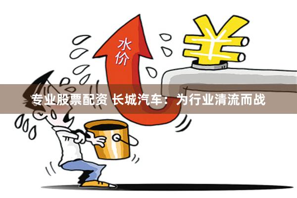 专业股票配资 长城汽车：为行业清流而战