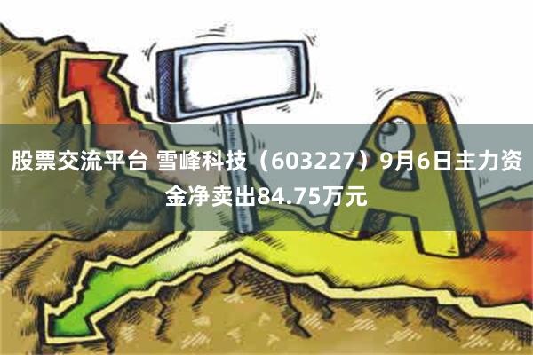 股票交流平台 雪峰科技（603227）9月6日主力资金净卖出84.75万元