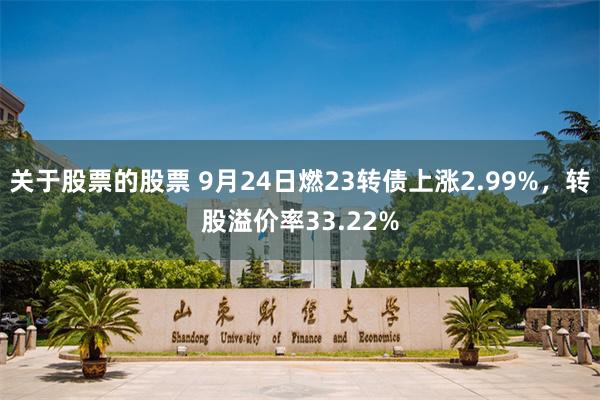 关于股票的股票 9月24日燃23转债上涨2.99%，转股溢价率33.22%