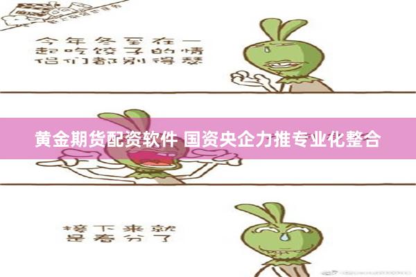 黄金期货配资软件 国资央企力推专业化整合