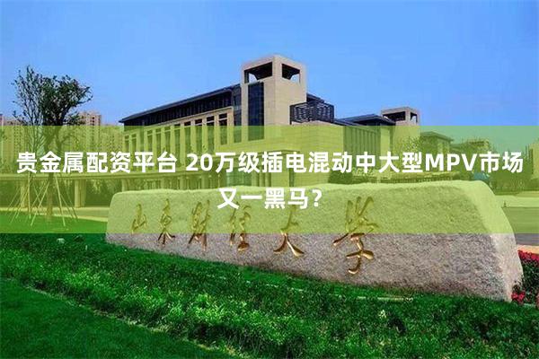 贵金属配资平台 20万级插电混动中大型MPV市场又一黑马？