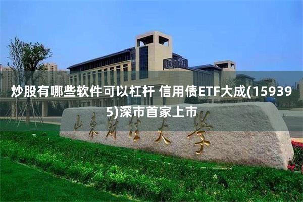 炒股有哪些软件可以杠杆 信用债ETF大成(159395)深市首家上市