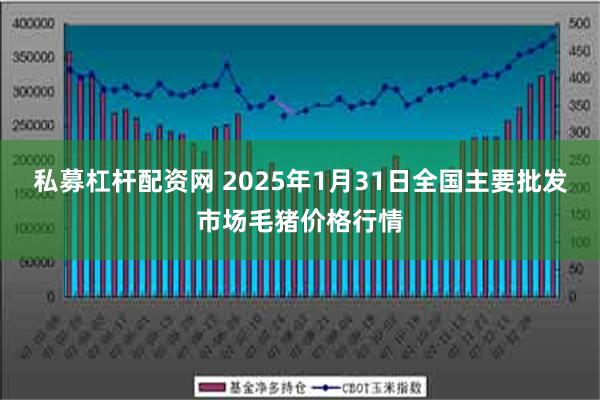 私募杠杆配资网 2025年1月31日全国主要批发市场毛猪价格行情