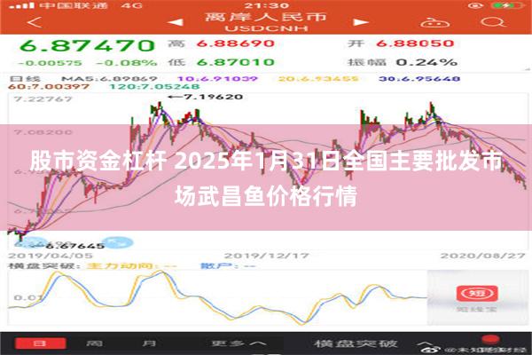 股市资金杠杆 2025年1月31日全国主要批发市场武昌鱼价格行情